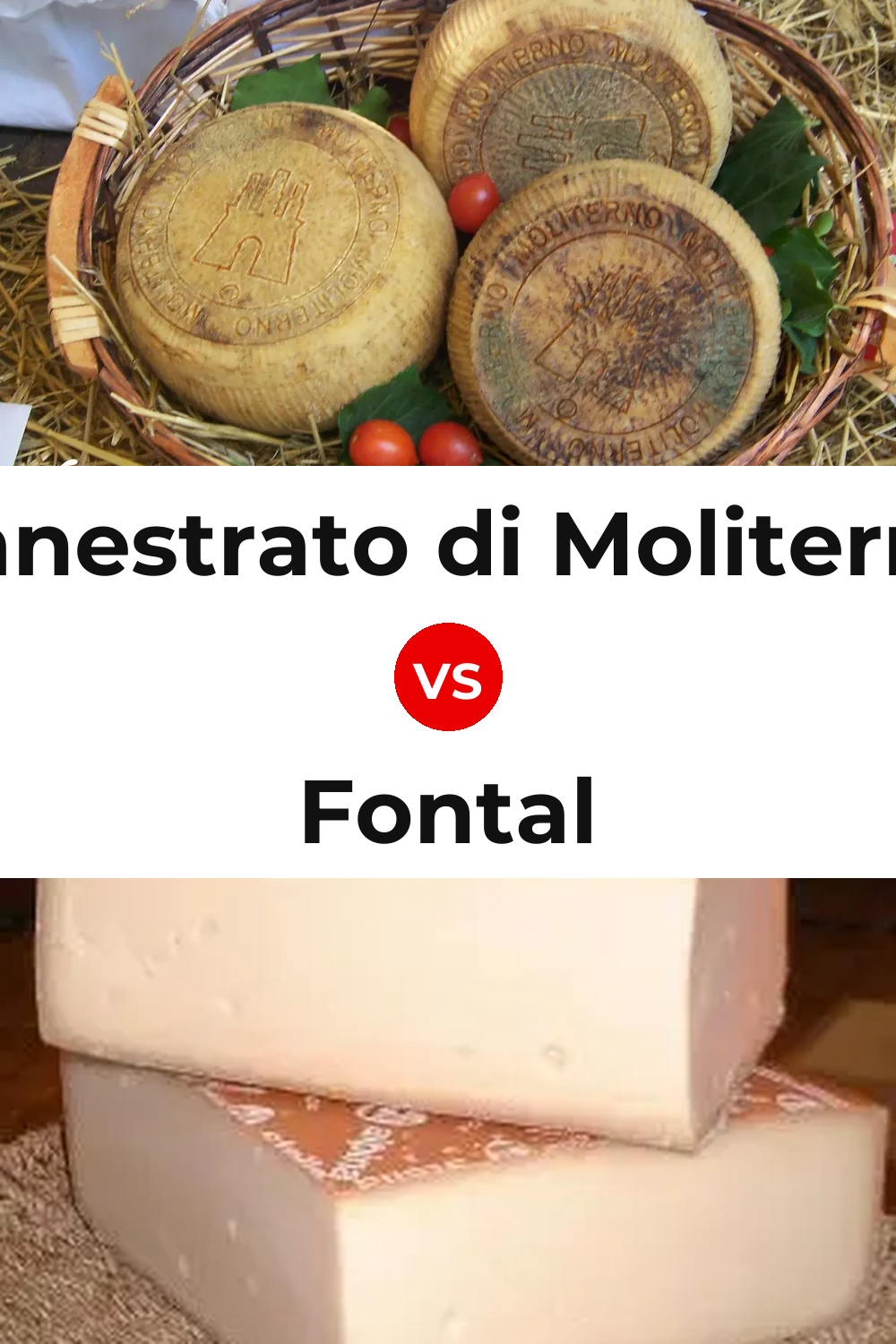 Canestrato di Moliterno Cheese vs Fontal Cheese Pinterest comparison