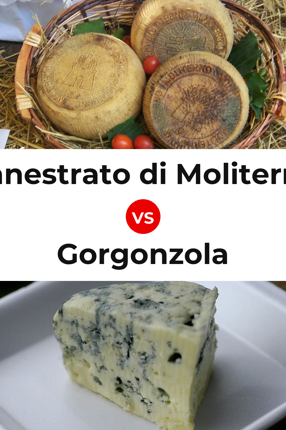 Canestrato di Moliterno Cheese vs Gorgonzola Cheese Pinterest comparison