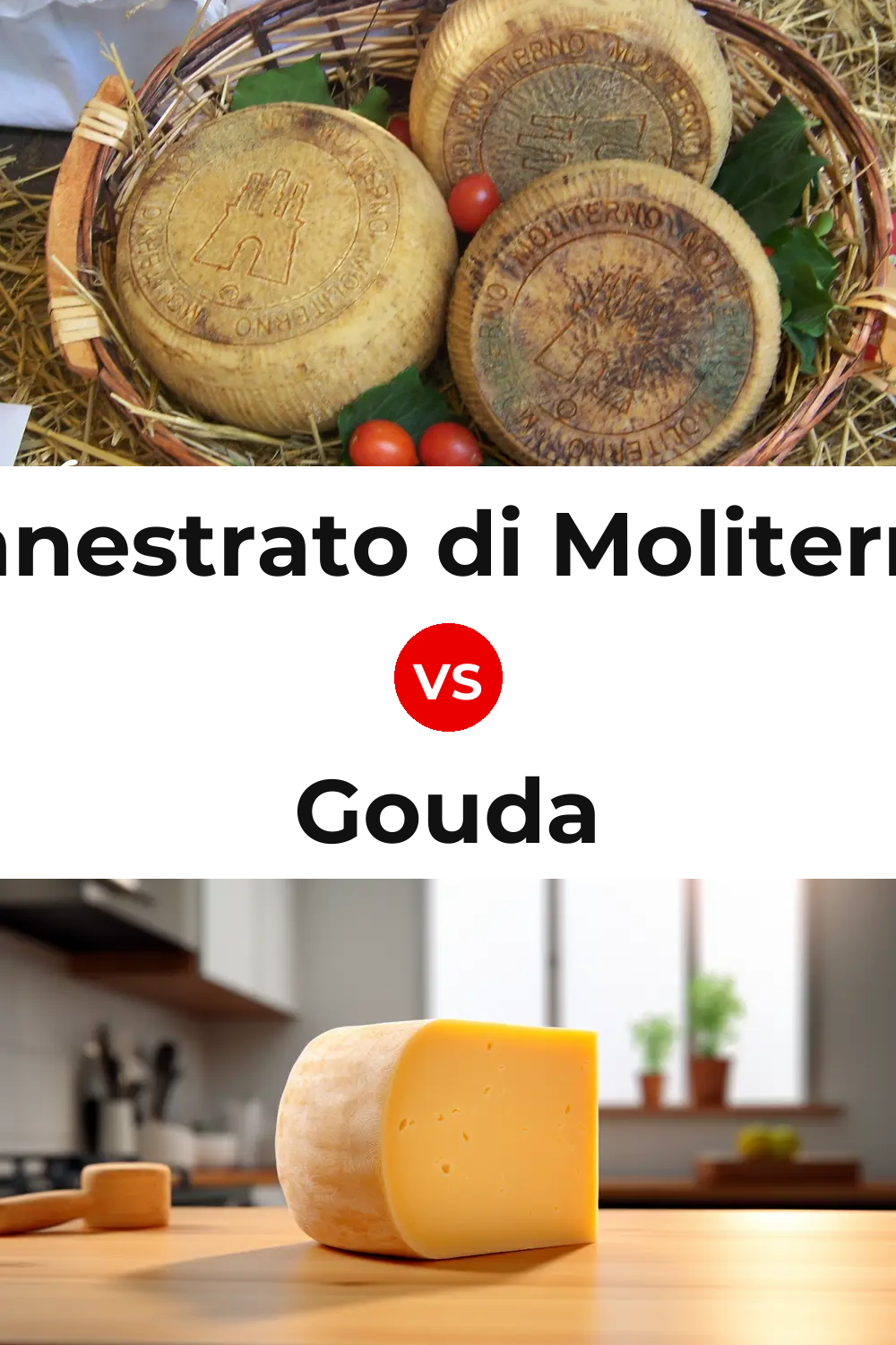 Canestrato di Moliterno Cheese vs Gouda Cheese Pinterest comparison