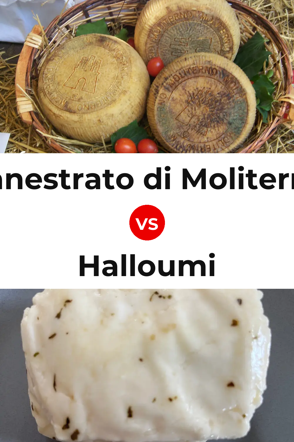 Canestrato di Moliterno Cheese vs Halloumi Cheese Pinterest comparison