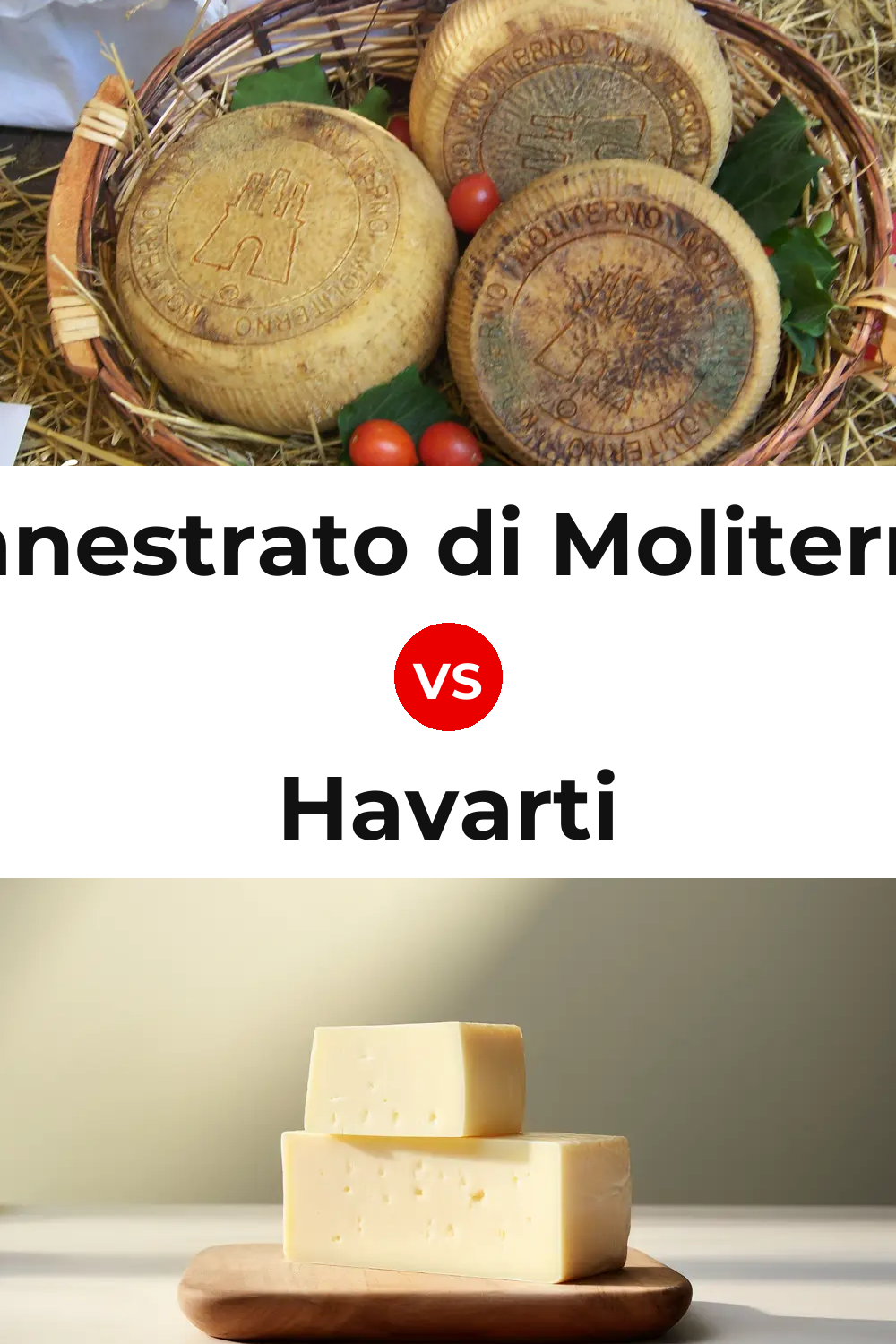 Canestrato di Moliterno Cheese vs Havarti Cheese Pinterest comparison