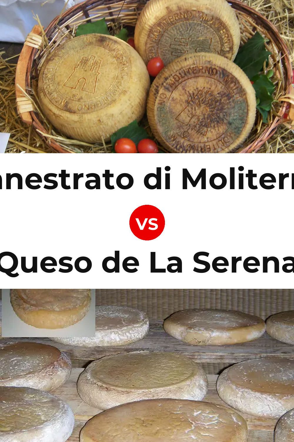 Canestrato di Moliterno Cheese vs Queso de La Serena Pinterest comparison