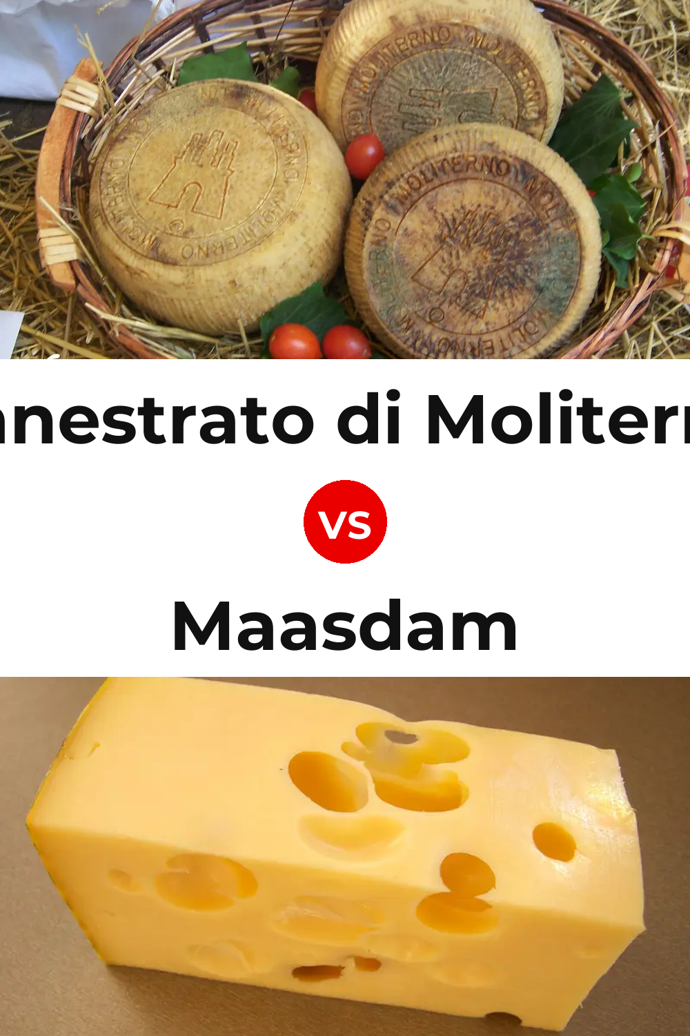 Canestrato di Moliterno Cheese vs Maasdam Cheese Pinterest comparison