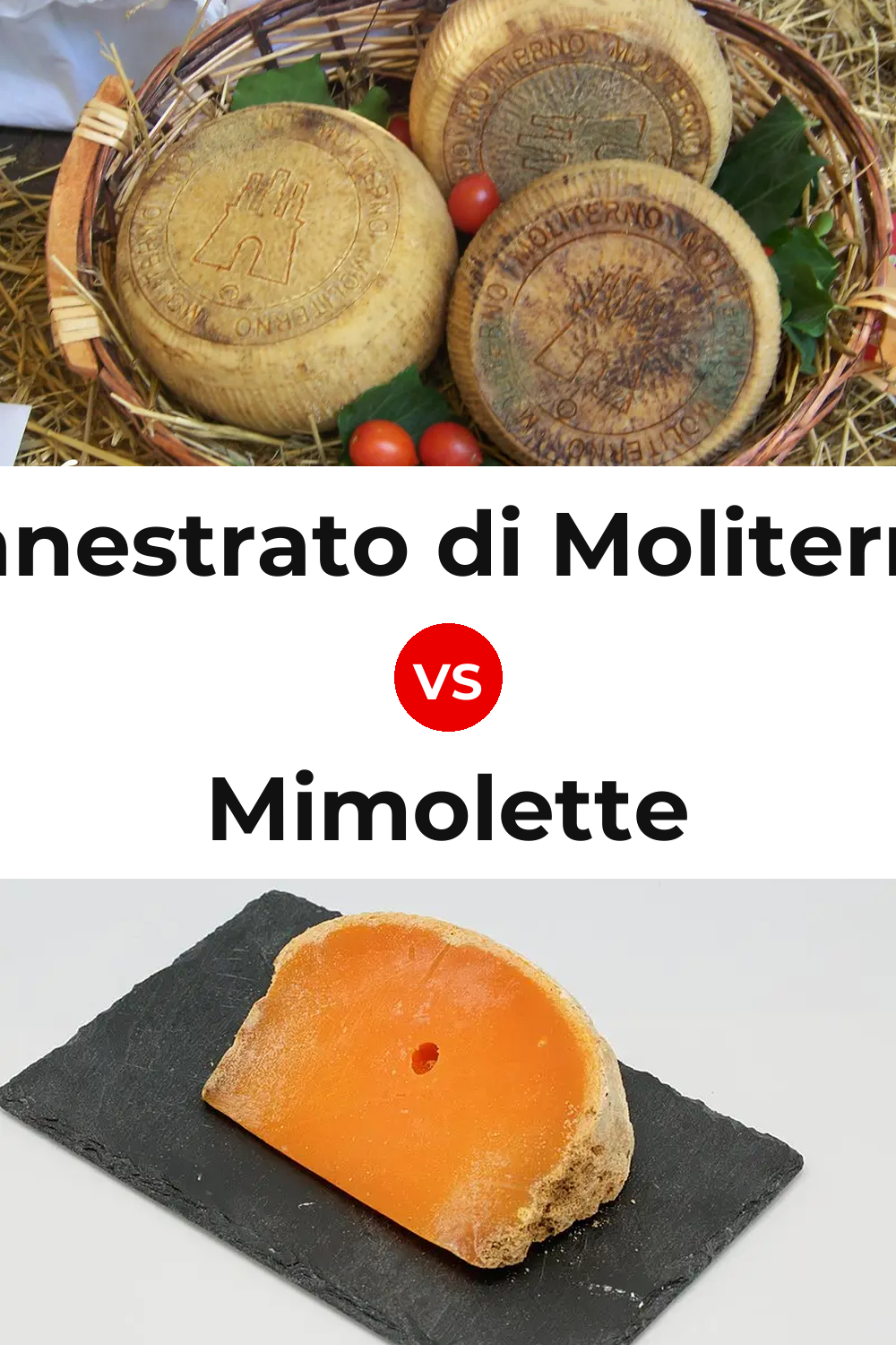 Canestrato di Moliterno Cheese vs Mimolette Cheese Pinterest comparison
