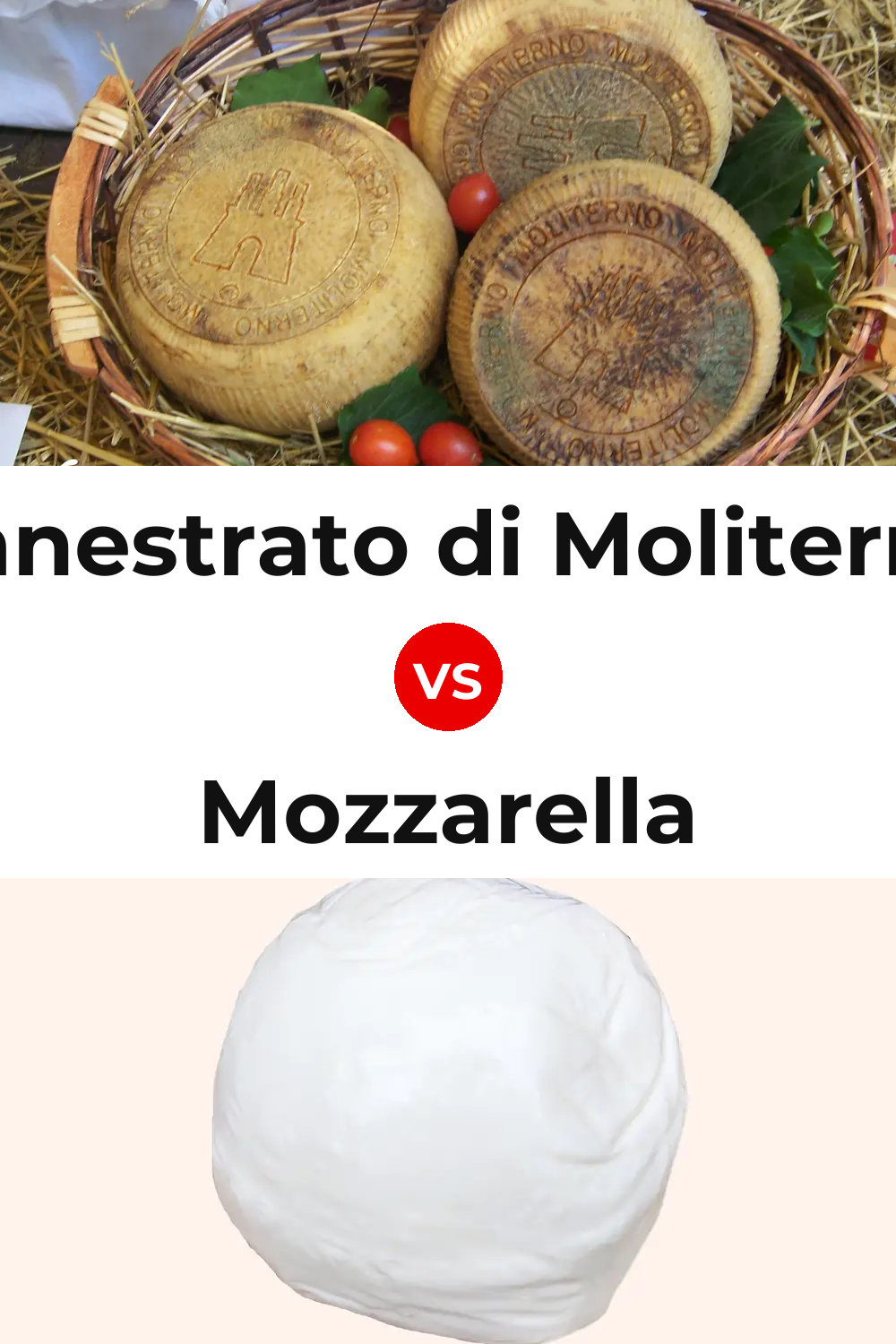 Canestrato di Moliterno Cheese vs Mozzarella Cheese Pinterest comparison