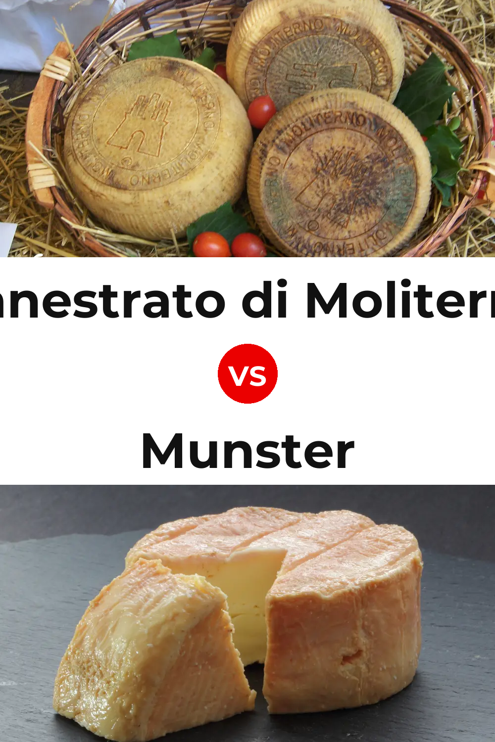 Canestrato di Moliterno Cheese vs Munster Cheese Pinterest comparison