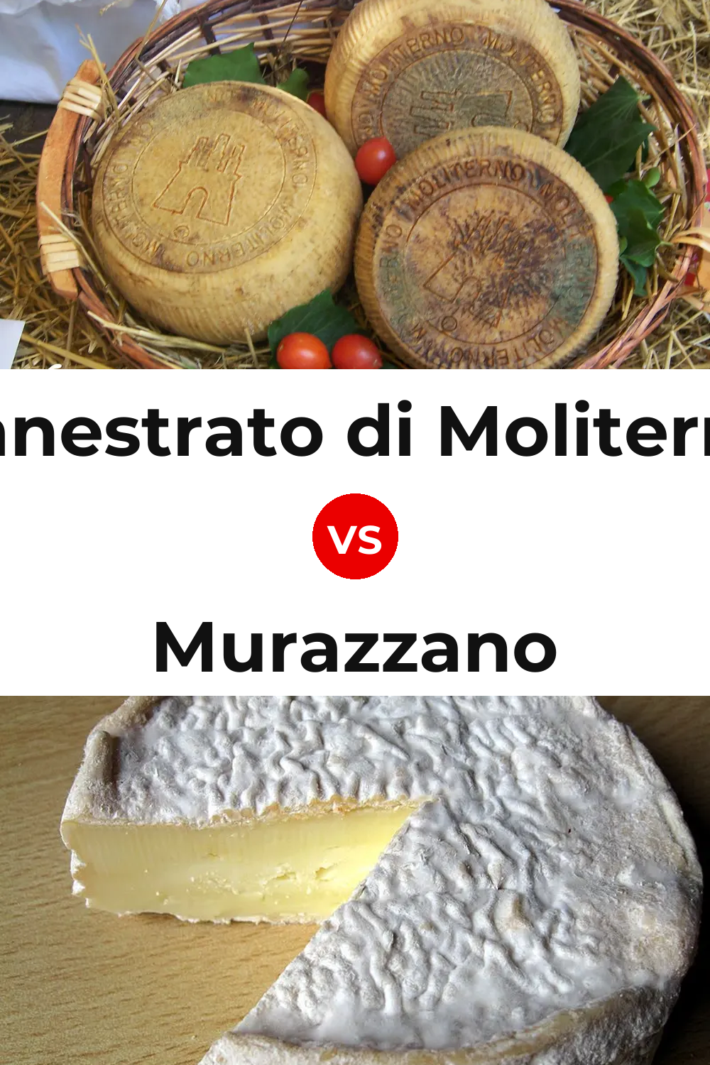 Canestrato di Moliterno Cheese vs Murazzano Cheese Pinterest comparison