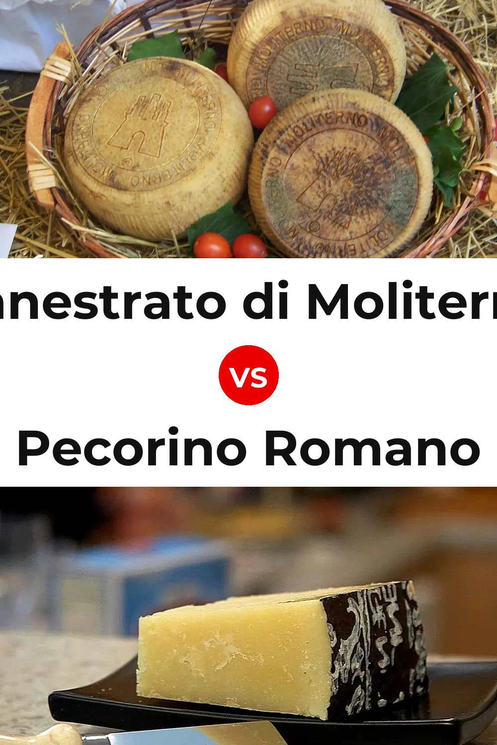 Canestrato di Moliterno Cheese vs Pecorino Romano Cheese Pinterest comparison