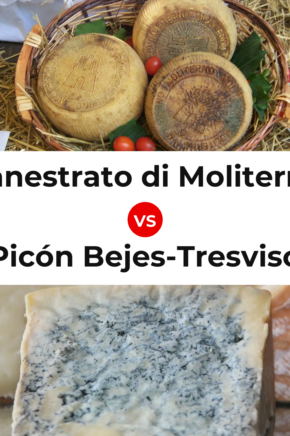 Canestrato di Moliterno Cheese vs Picón Bejes-Tresviso Cheese Pinterest comparison