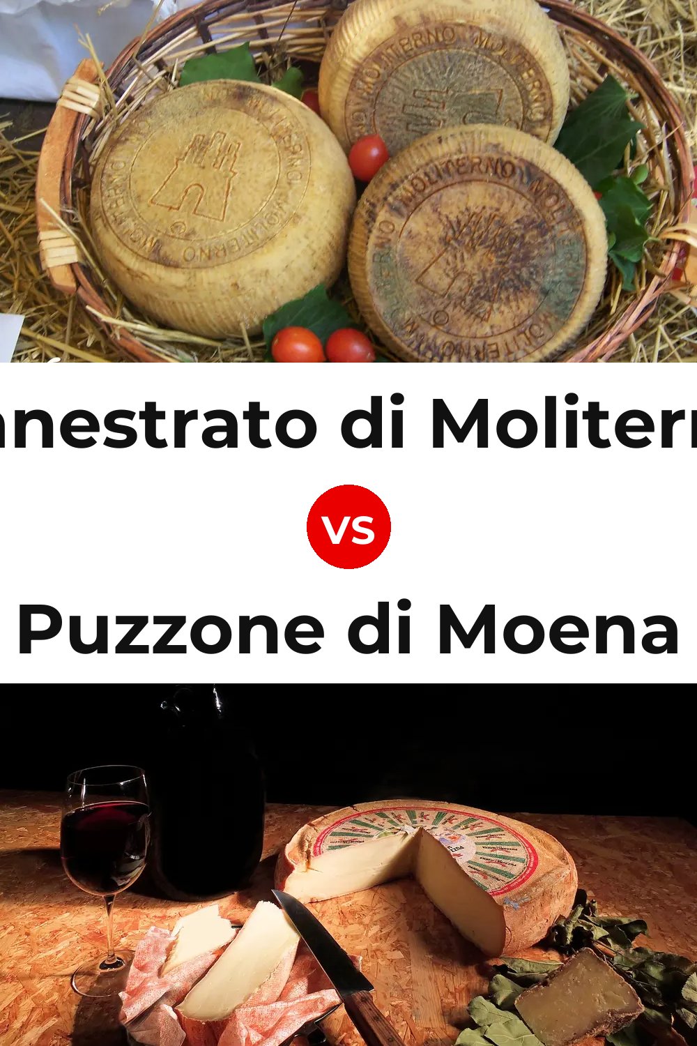 Canestrato di Moliterno Cheese vs Puzzone di Moena Cheese Pinterest comparison