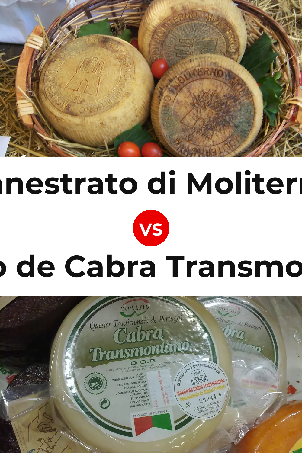 Canestrato di Moliterno Cheese vs Queijo de Cabra Transmontano Pinterest comparison