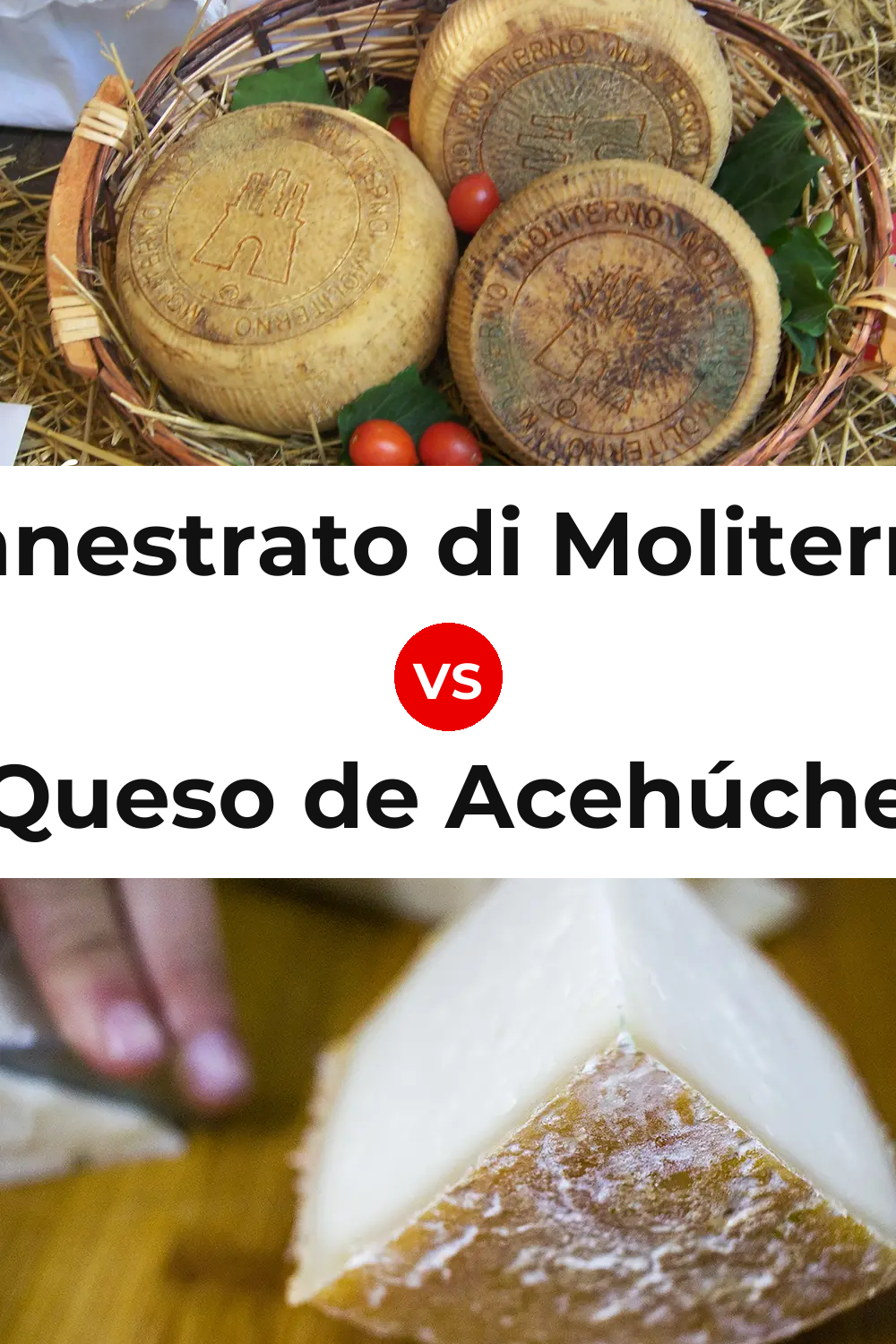 Canestrato di Moliterno Cheese vs Queso de Acehúche Pinterest comparison