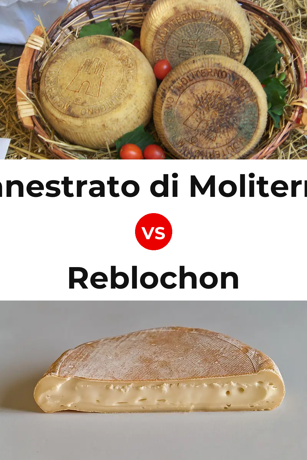 Canestrato di Moliterno Cheese vs Reblochon Cheese Pinterest comparison
