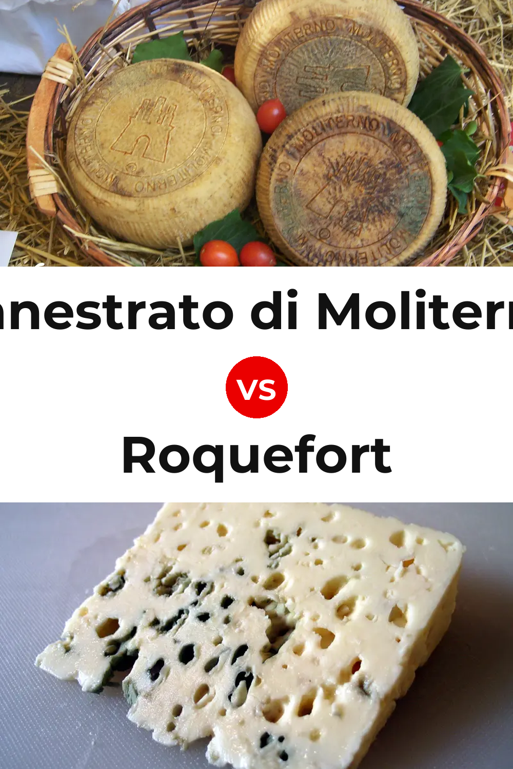 Canestrato di Moliterno Cheese vs Roquefort Cheese Pinterest comparison