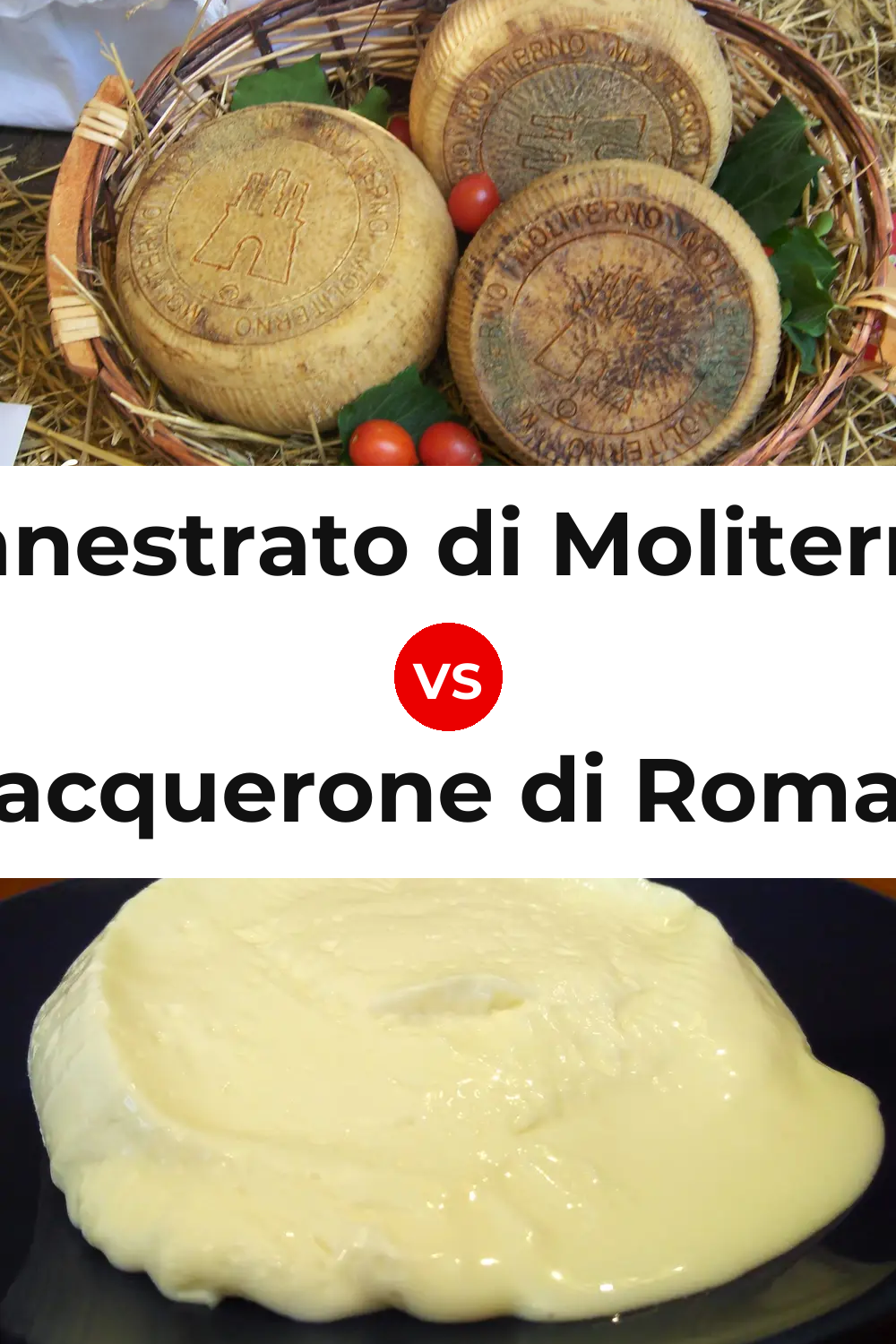Canestrato di Moliterno Cheese vs Squacquerone di Romagna Cheese Pinterest comparison