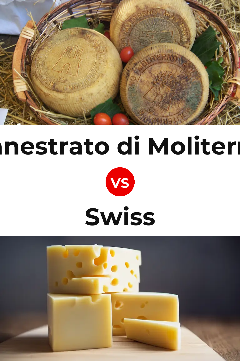 Canestrato di Moliterno Cheese vs Swiss Cheese Pinterest comparison