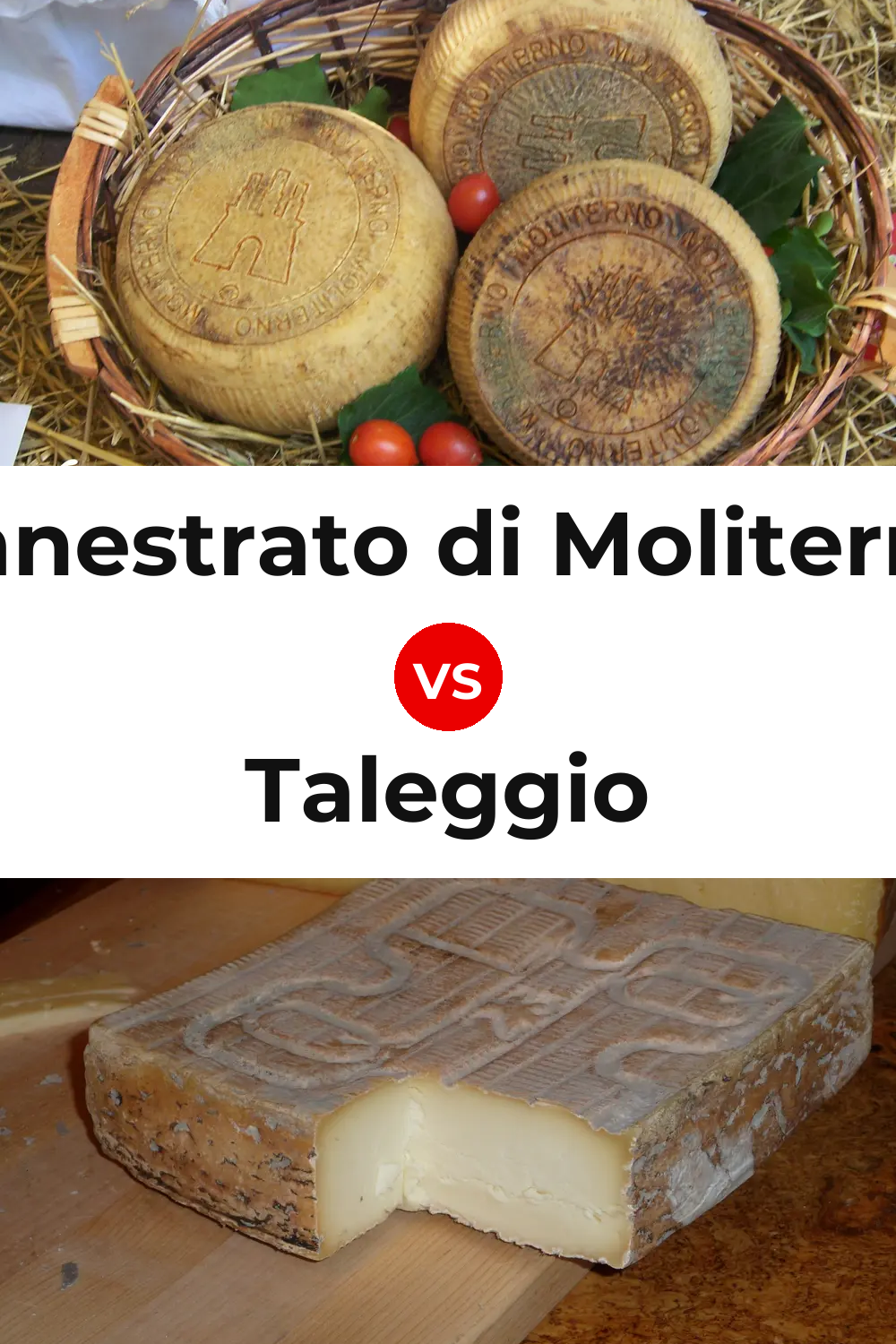 Canestrato di Moliterno Cheese vs Taleggio Cheese Pinterest comparison