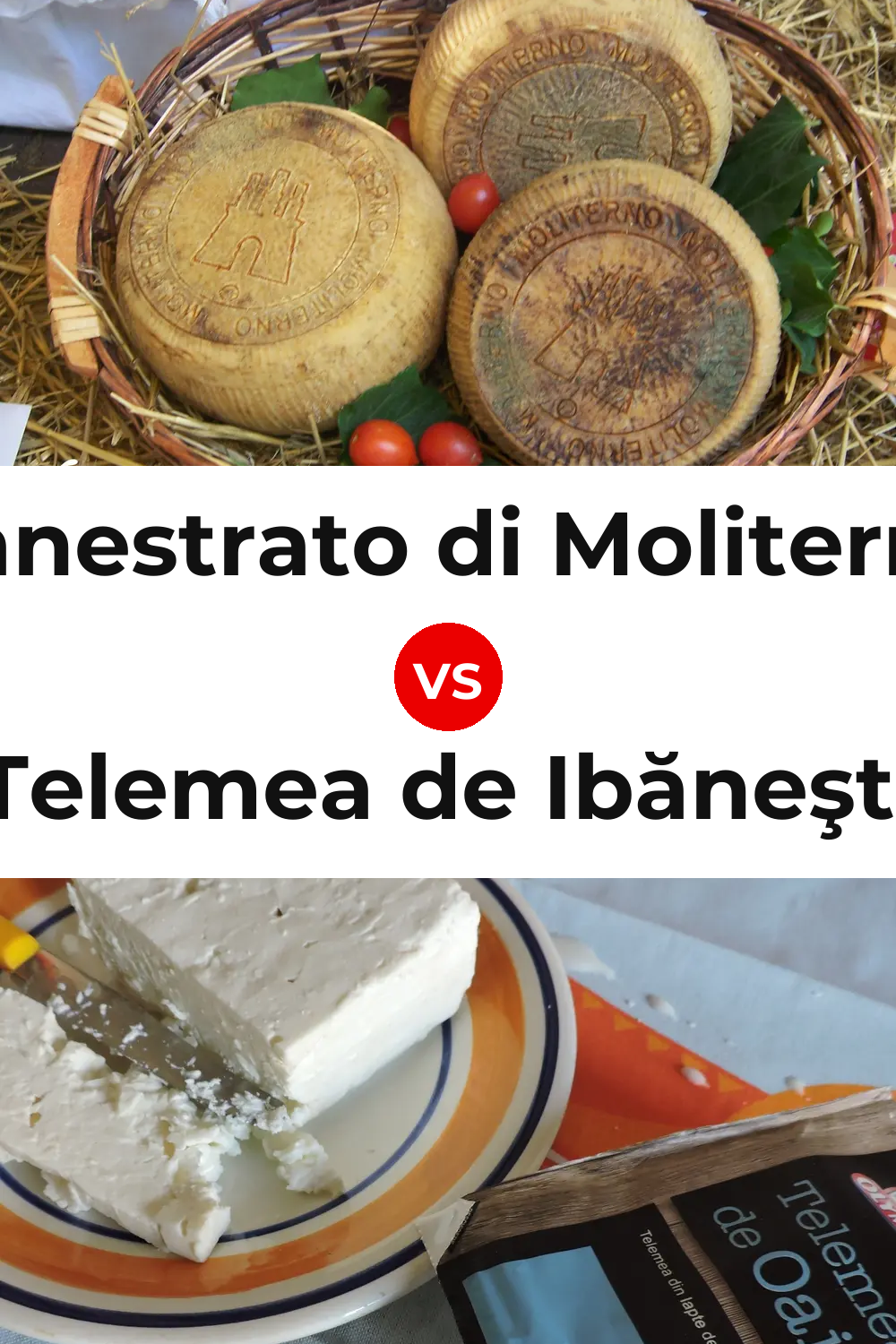 Canestrato di Moliterno Cheese vs Telemea de Ibăneşti Cheese Pinterest comparison