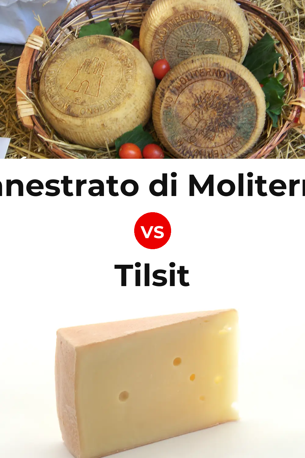 Canestrato di Moliterno Cheese vs Tilsit Cheese Pinterest comparison