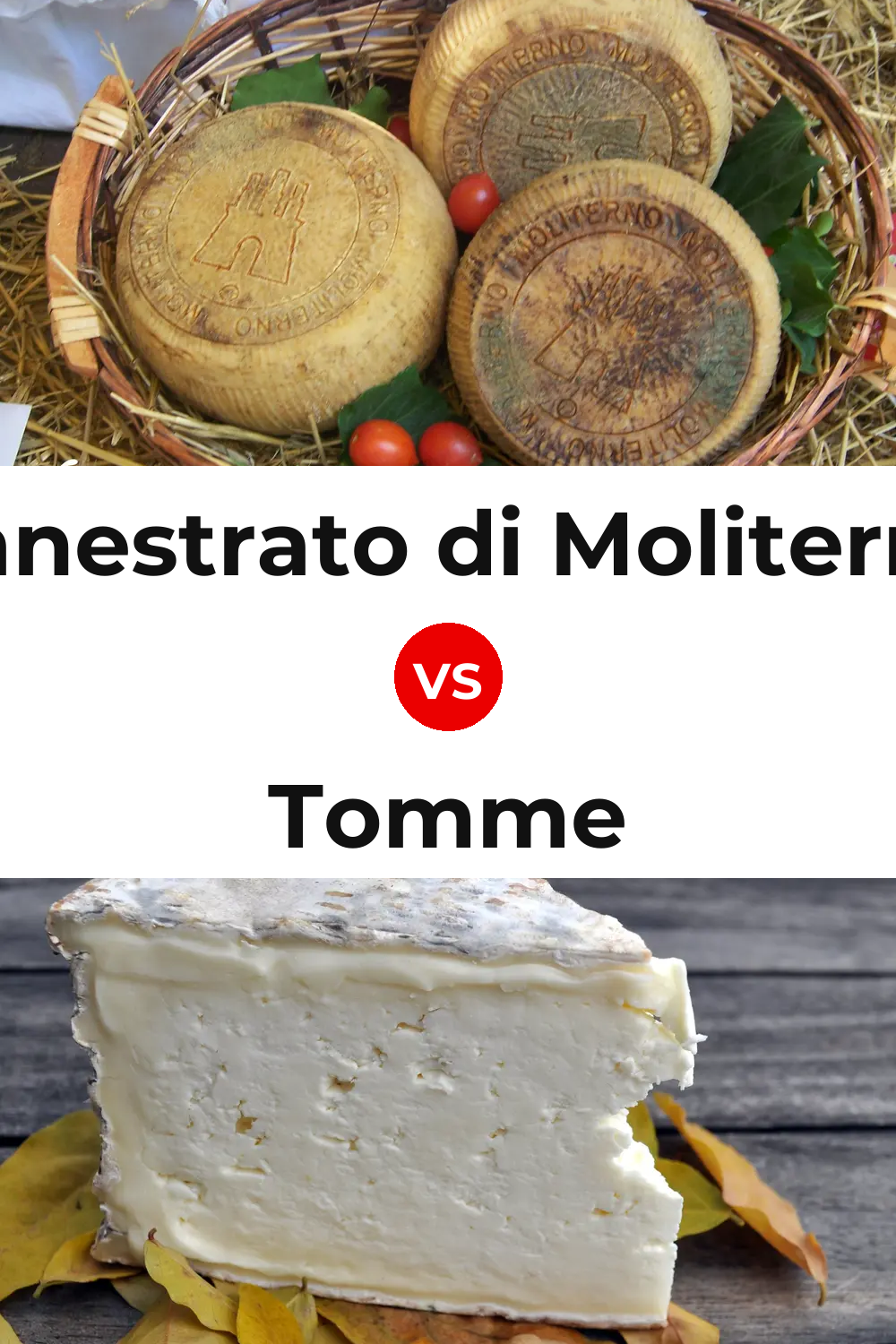 Canestrato di Moliterno Cheese vs Tomme Cheese Pinterest comparison