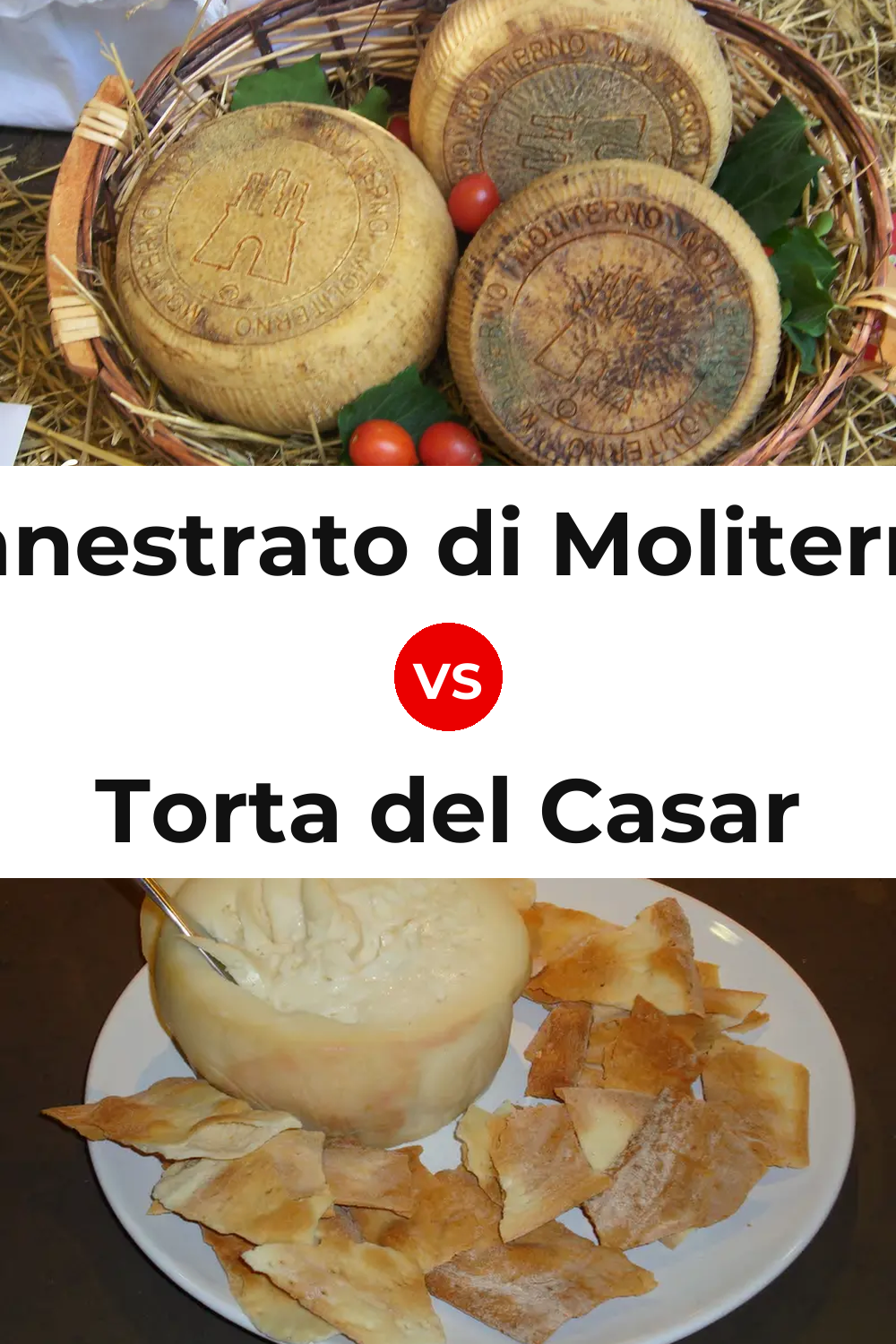 Canestrato di Moliterno Cheese vs Torta del Casar Cheese Pinterest comparison