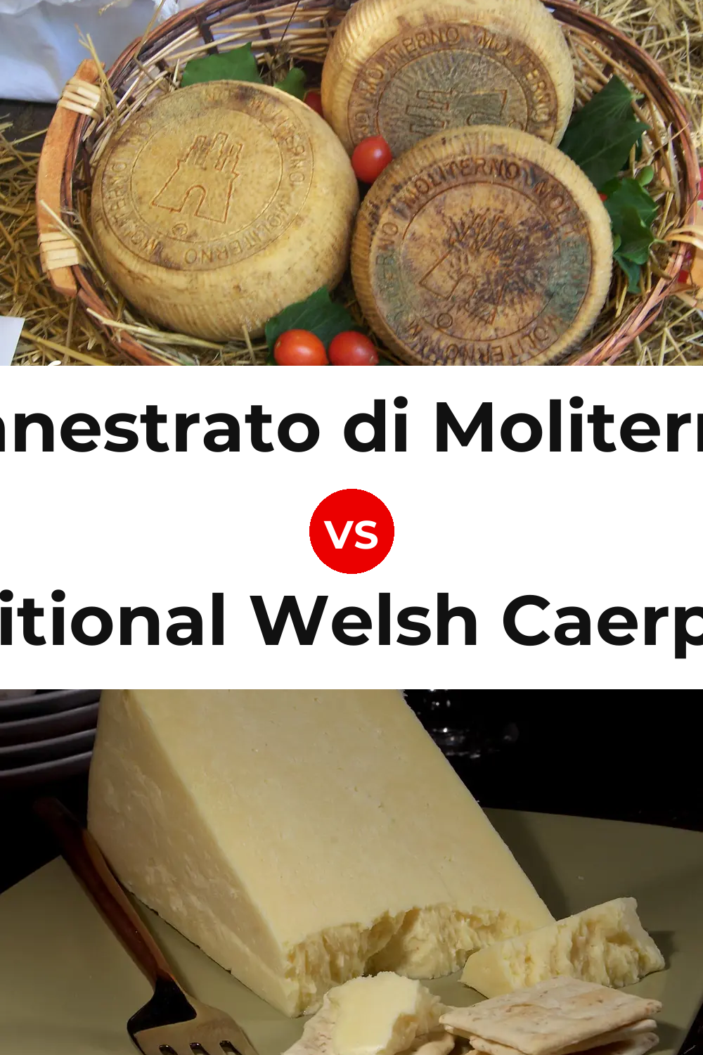 Canestrato di Moliterno Cheese vs Traditional Welsh Caerphilly Cheese Pinterest comparison