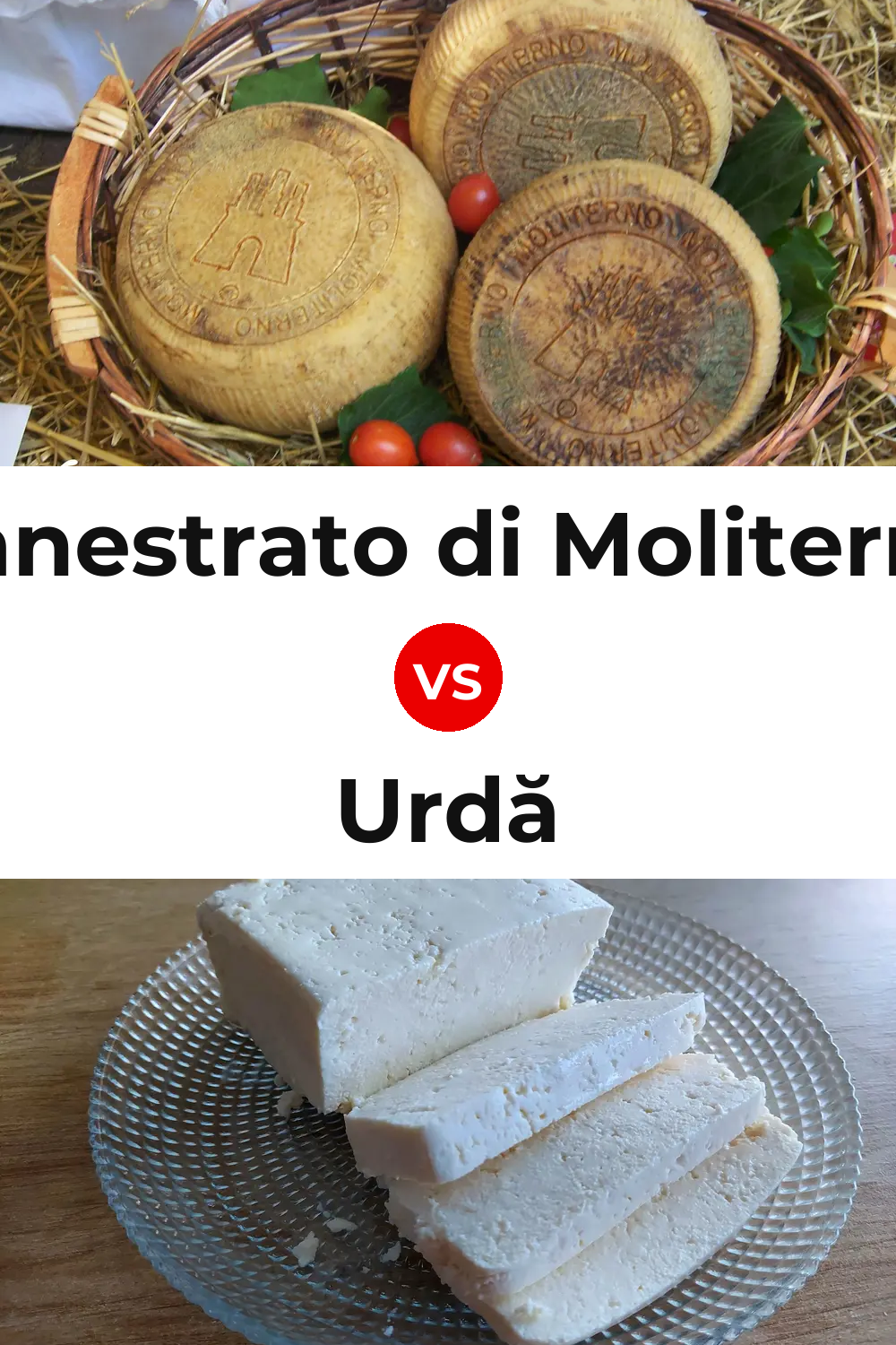 Canestrato di Moliterno Cheese vs Urdă Cheese Pinterest comparison