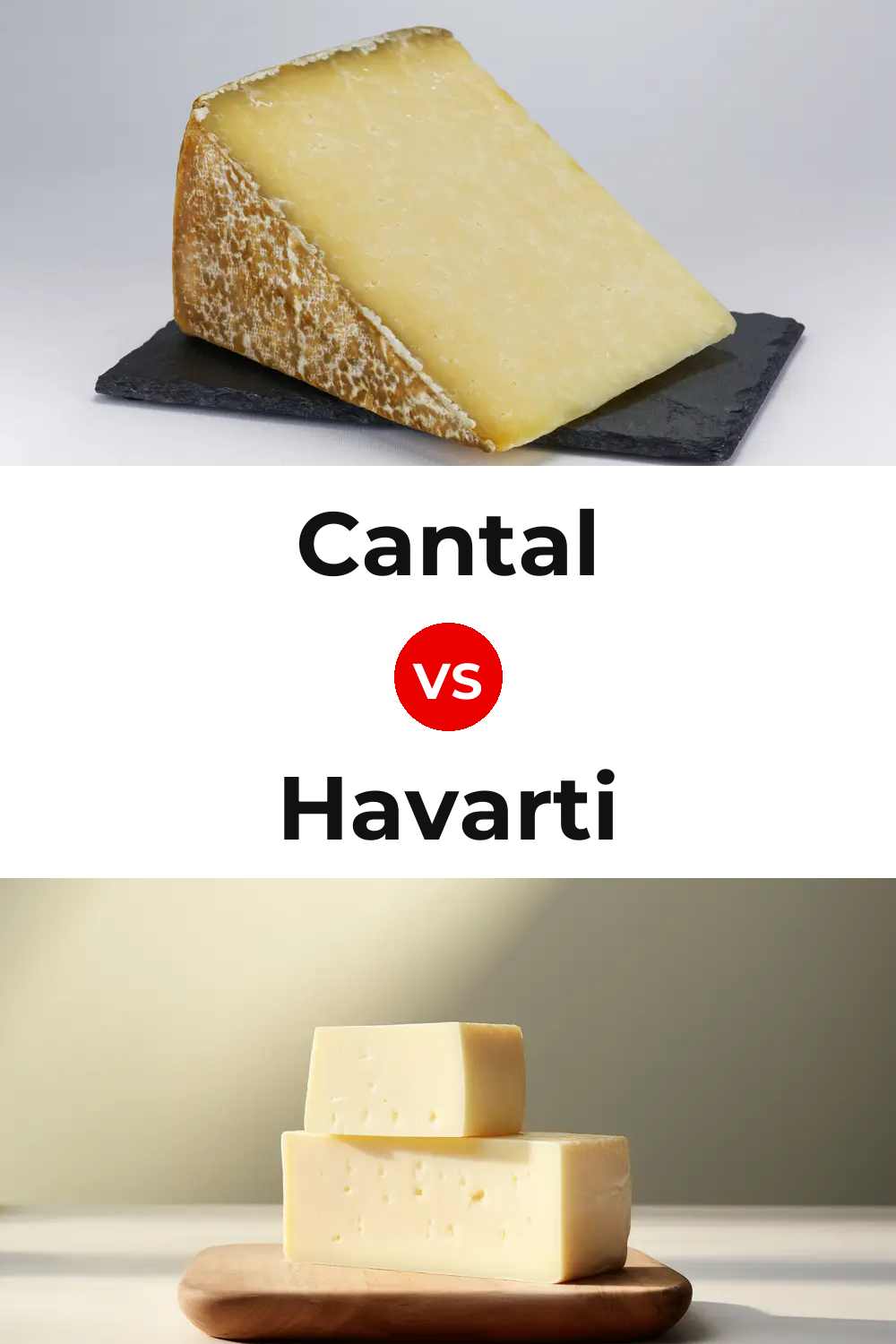 Cantal Cheese vs Havarti Cheese Pinterest comparison