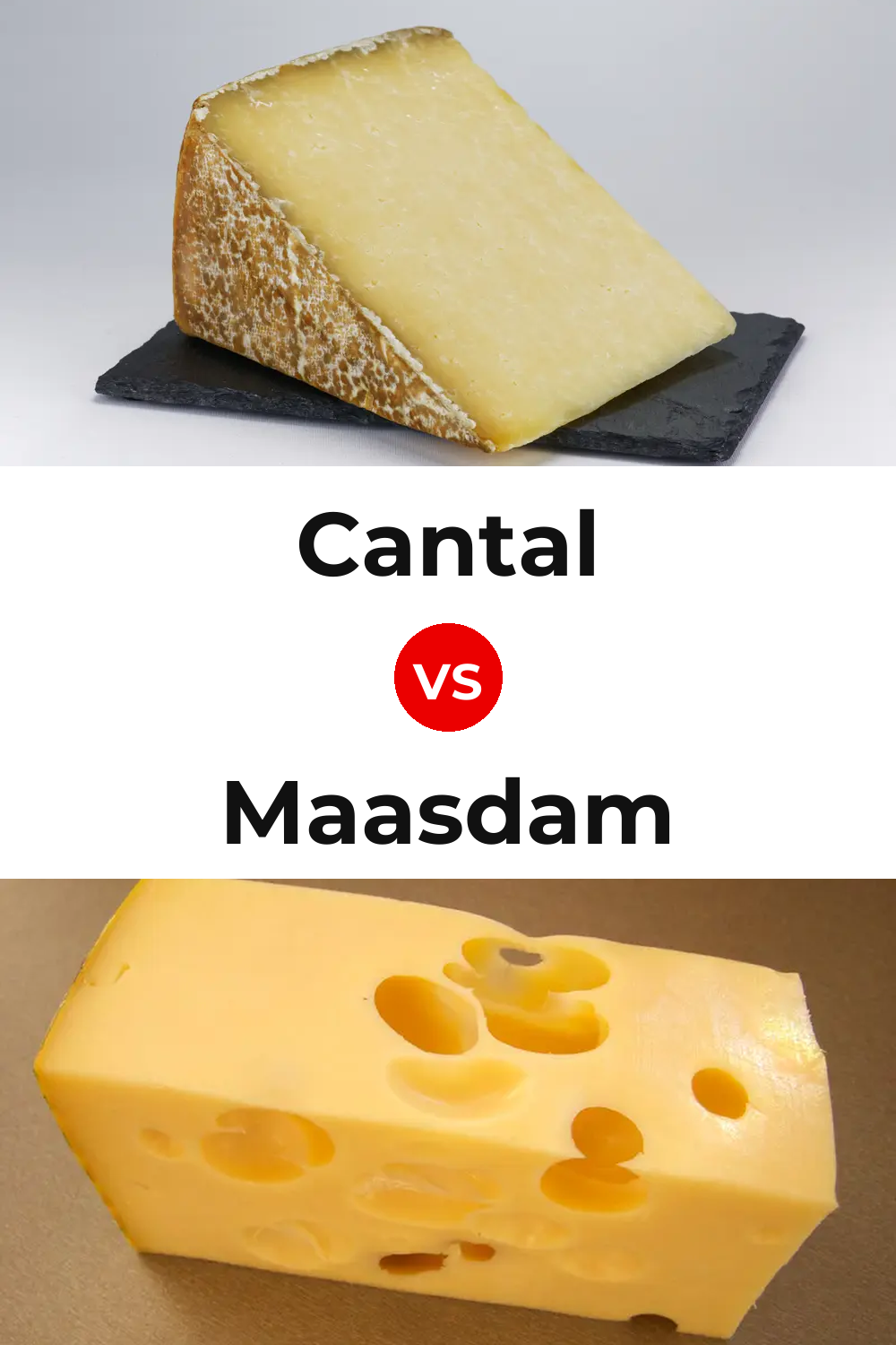 Cantal Cheese vs Maasdam Cheese Pinterest comparison