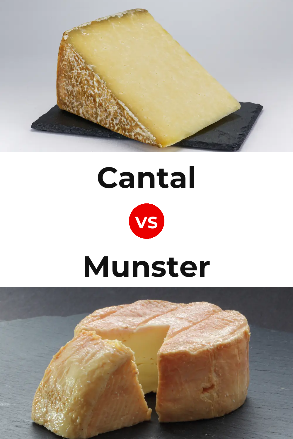 Cantal Cheese vs Munster Cheese Pinterest comparison