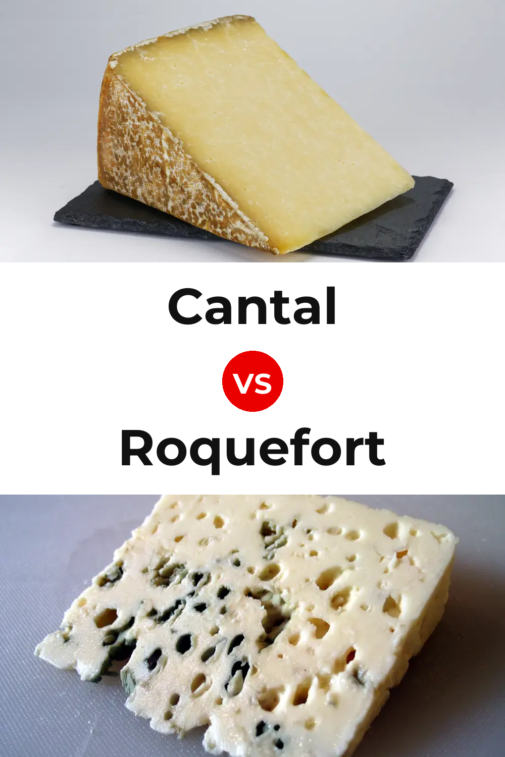 Cantal Cheese vs Roquefort Cheese Pinterest comparison