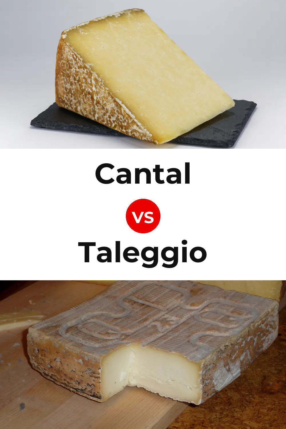 Cantal Cheese vs Taleggio Cheese Pinterest comparison