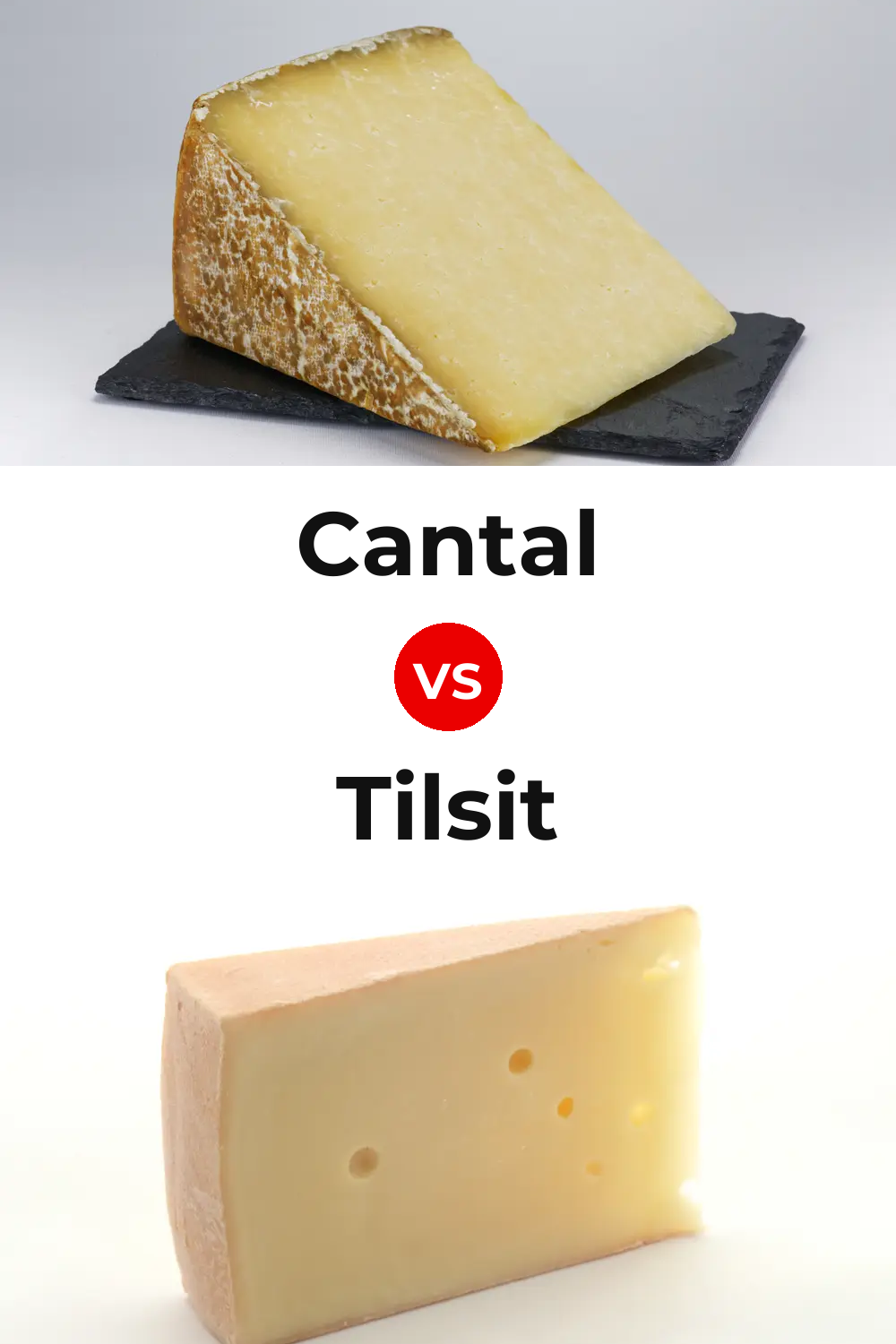 Cantal Cheese vs Tilsit Cheese Pinterest comparison