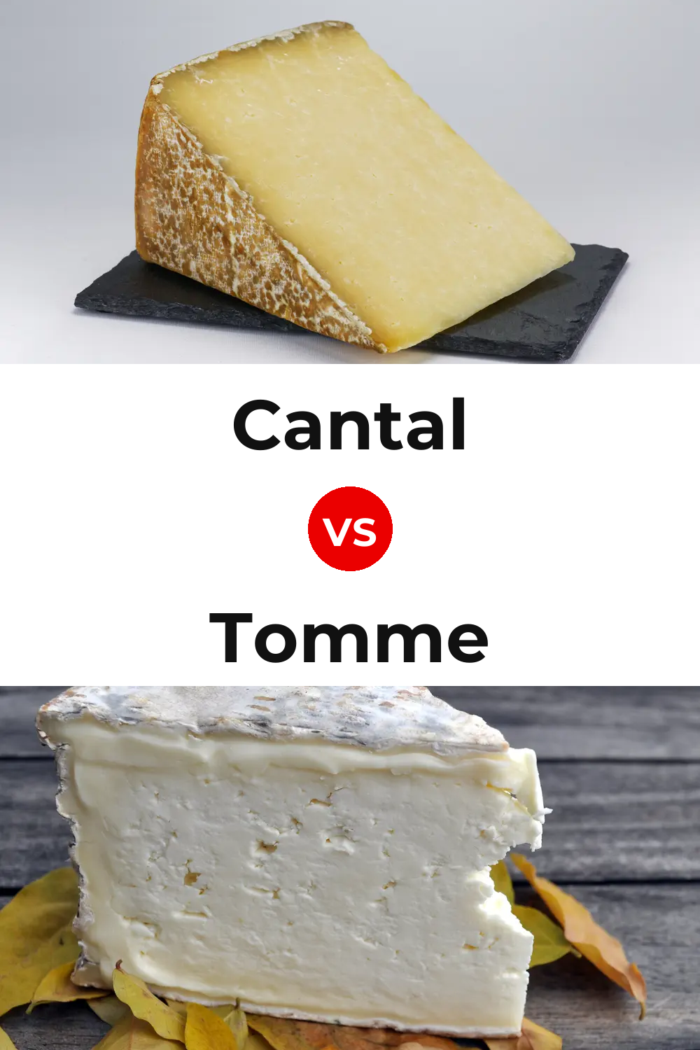 Cantal Cheese vs Tomme Cheese Pinterest comparison
