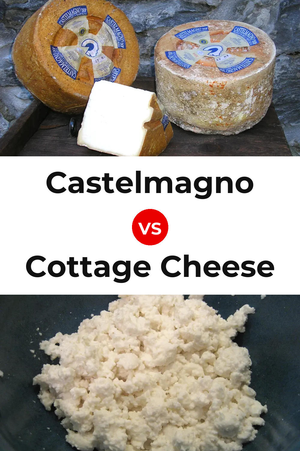 Castelmagno Cheese vs Cottage Cheese Pinterest comparison