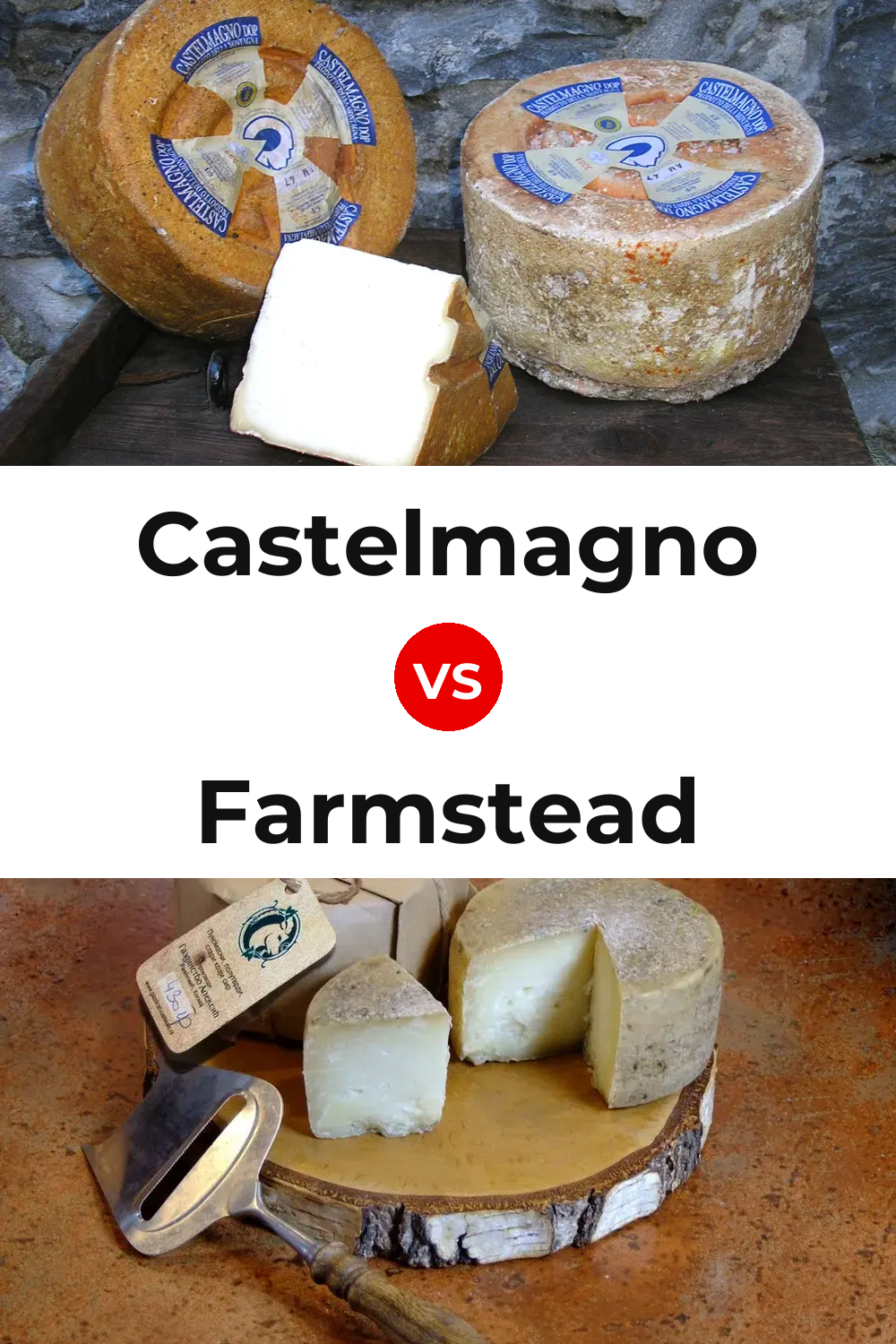 Castelmagno Cheese vs Farmstead Cheese Pinterest comparison