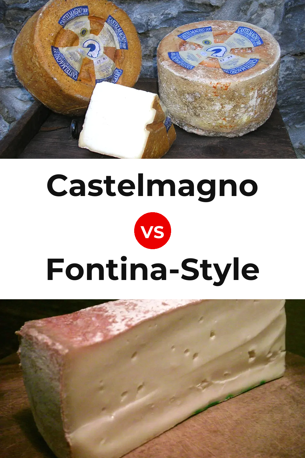 Castelmagno Cheese vs Fontina-Style Cheese Pinterest comparison