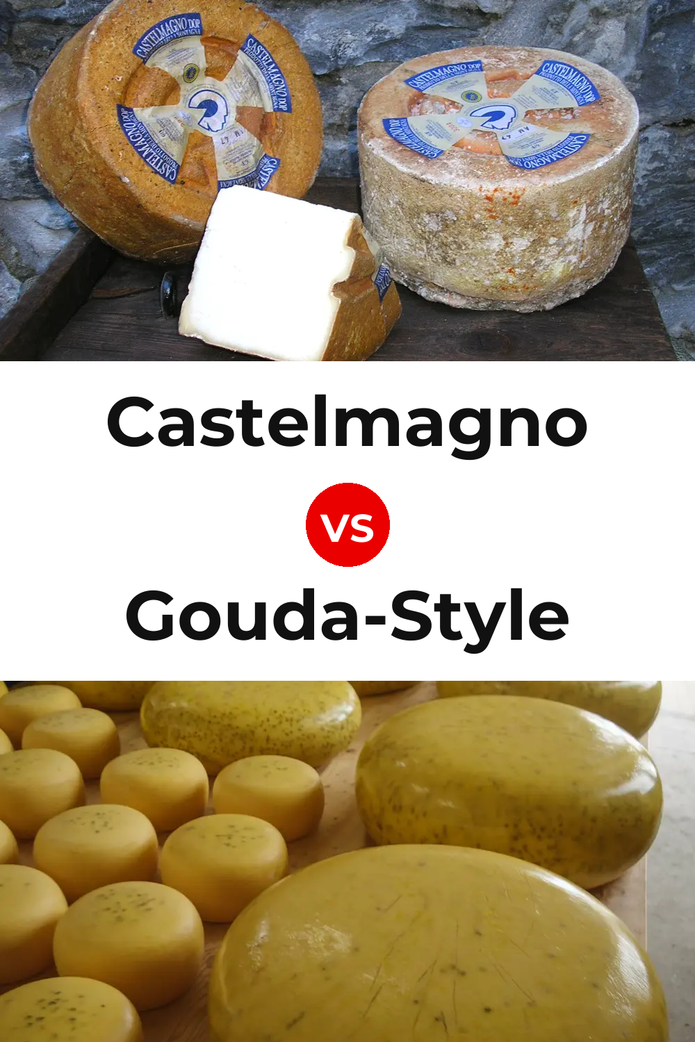 Castelmagno Cheese vs Gouda-Style Cheese Pinterest comparison