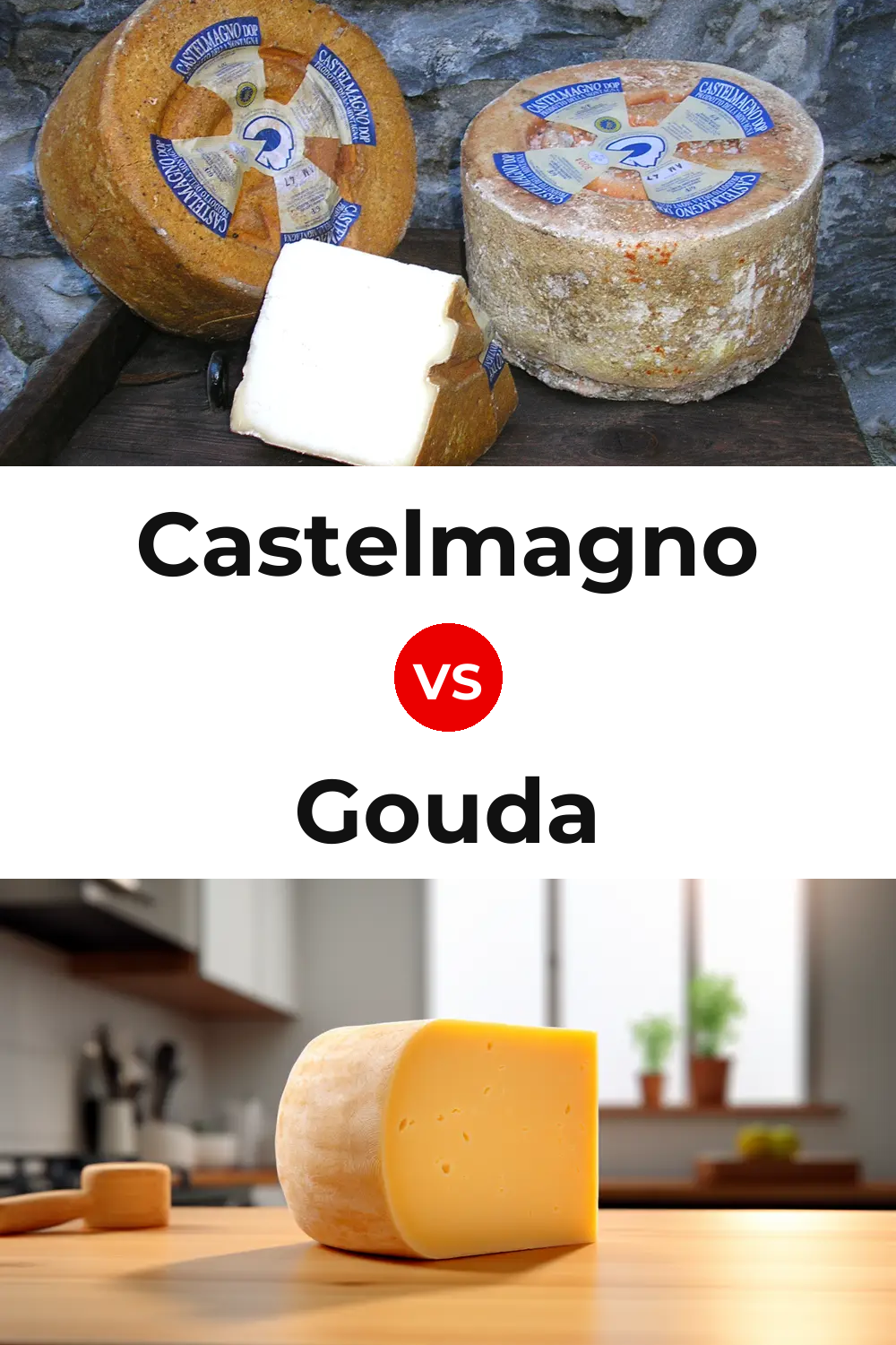 Castelmagno Cheese vs Gouda Cheese Pinterest comparison
