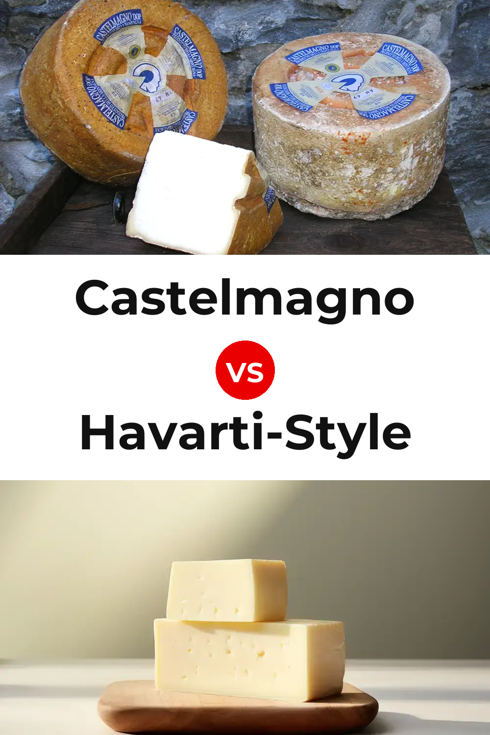 Castelmagno Cheese vs Havarti-Style Cheese Pinterest comparison