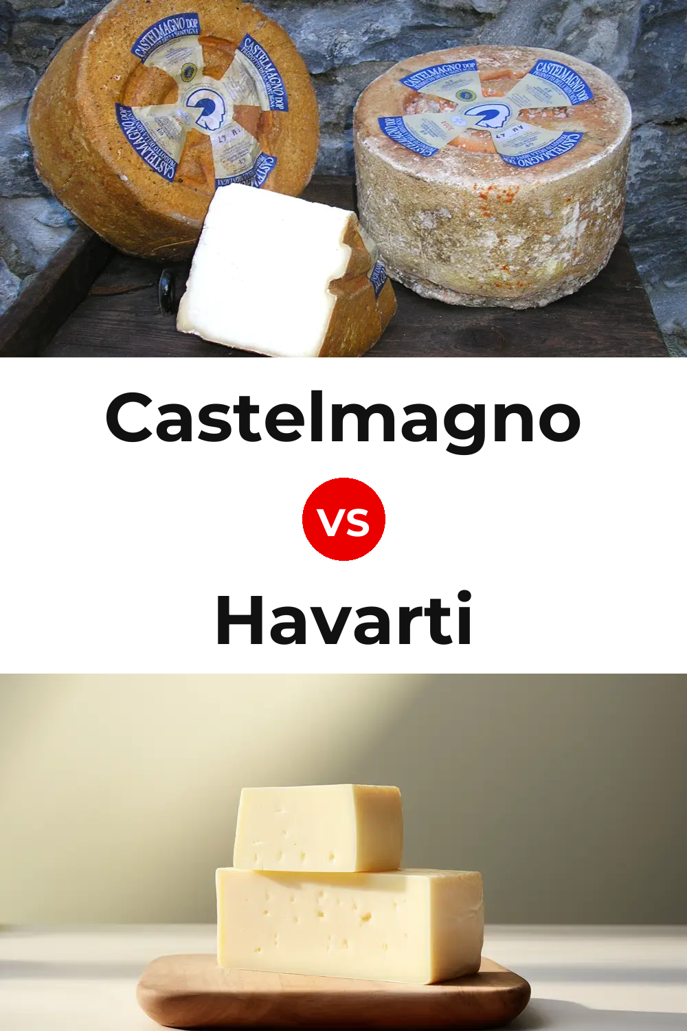 Castelmagno Cheese vs Havarti Cheese Pinterest comparison