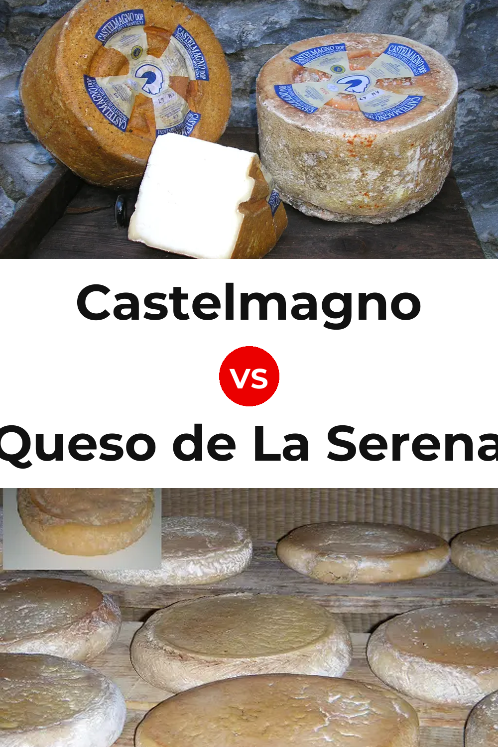 Castelmagno Cheese vs Queso de La Serena Pinterest comparison