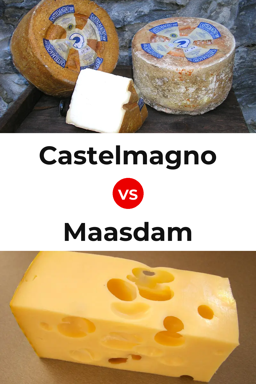 Castelmagno Cheese vs Maasdam Cheese Pinterest comparison