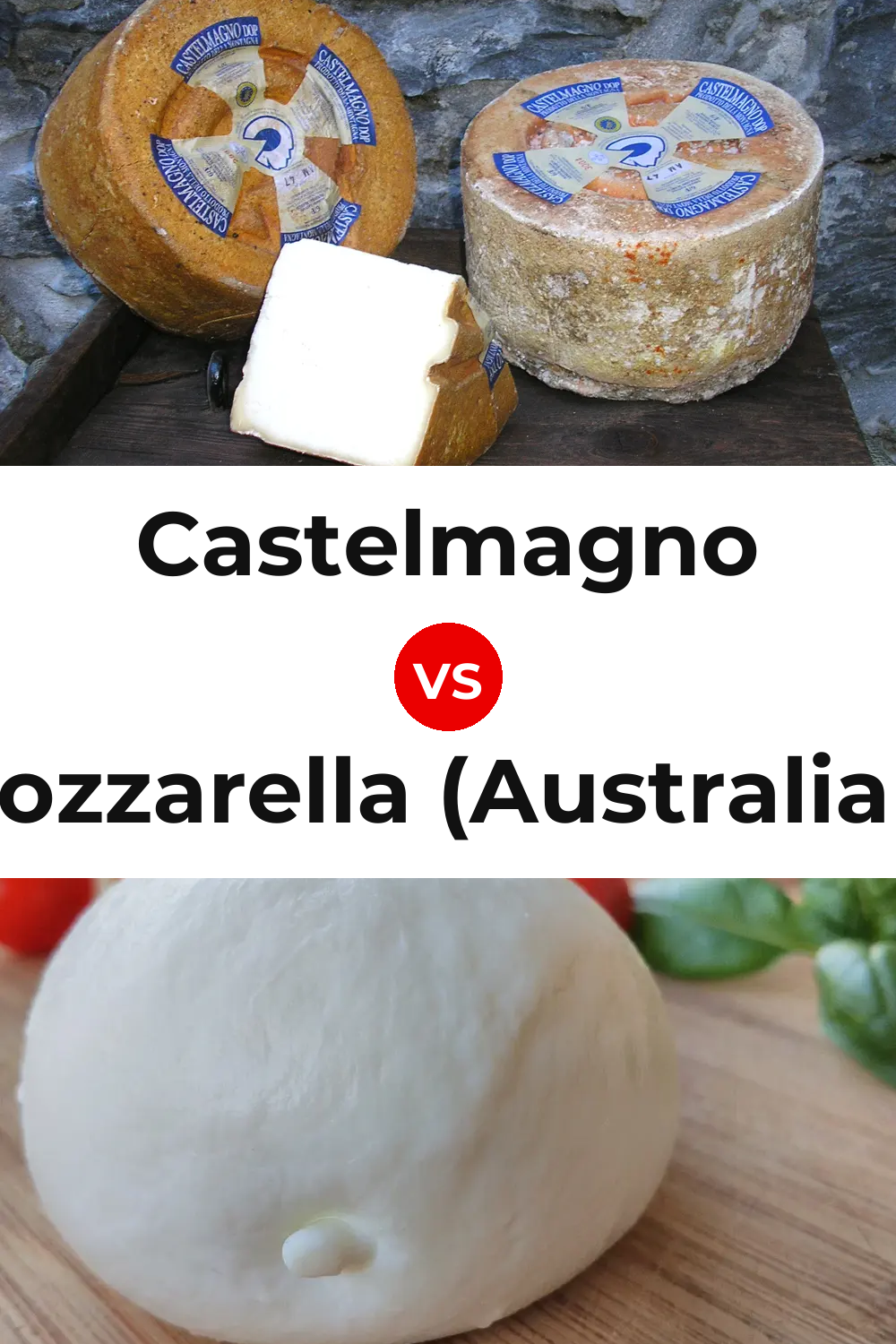Castelmagno Cheese vs Mozzarella (Australian) Cheese Pinterest comparison