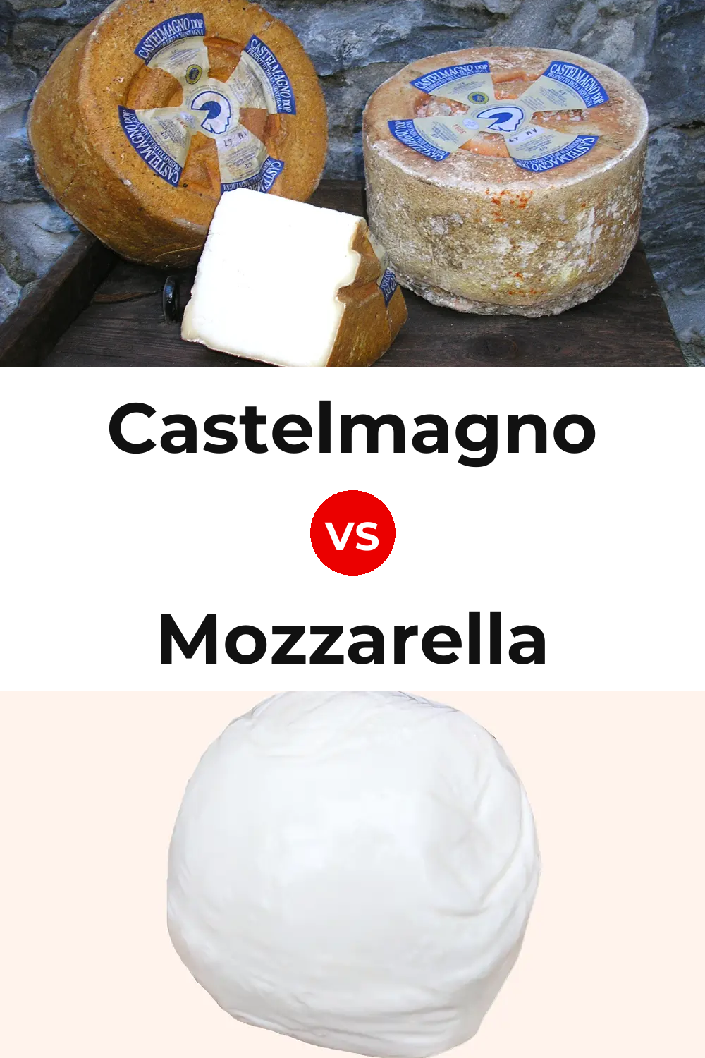 Castelmagno Cheese vs Mozzarella Cheese Pinterest comparison