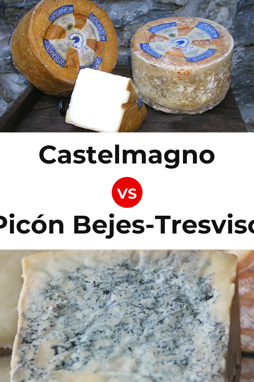 Castelmagno Cheese vs Picón Bejes-Tresviso Cheese Pinterest comparison