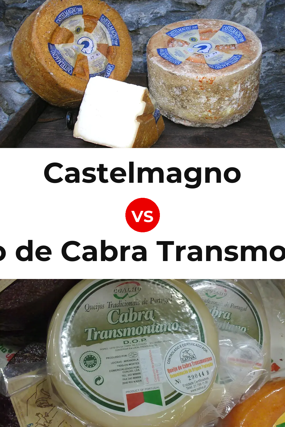 Castelmagno Cheese vs Queijo de Cabra Transmontano Pinterest comparison
