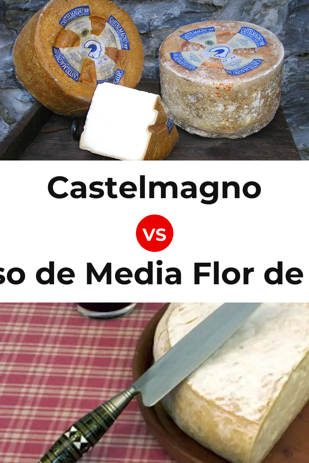 Castelmagno Cheese vs Queso de Media Flor de Guía Pinterest comparison
