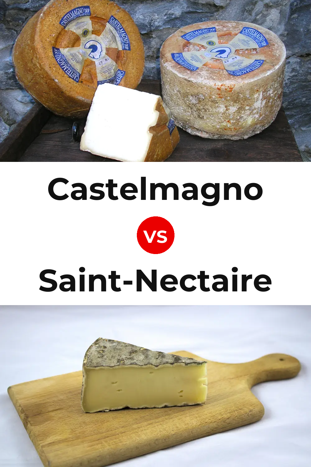 Castelmagno Cheese vs Saint-Nectaire Cheese Pinterest comparison