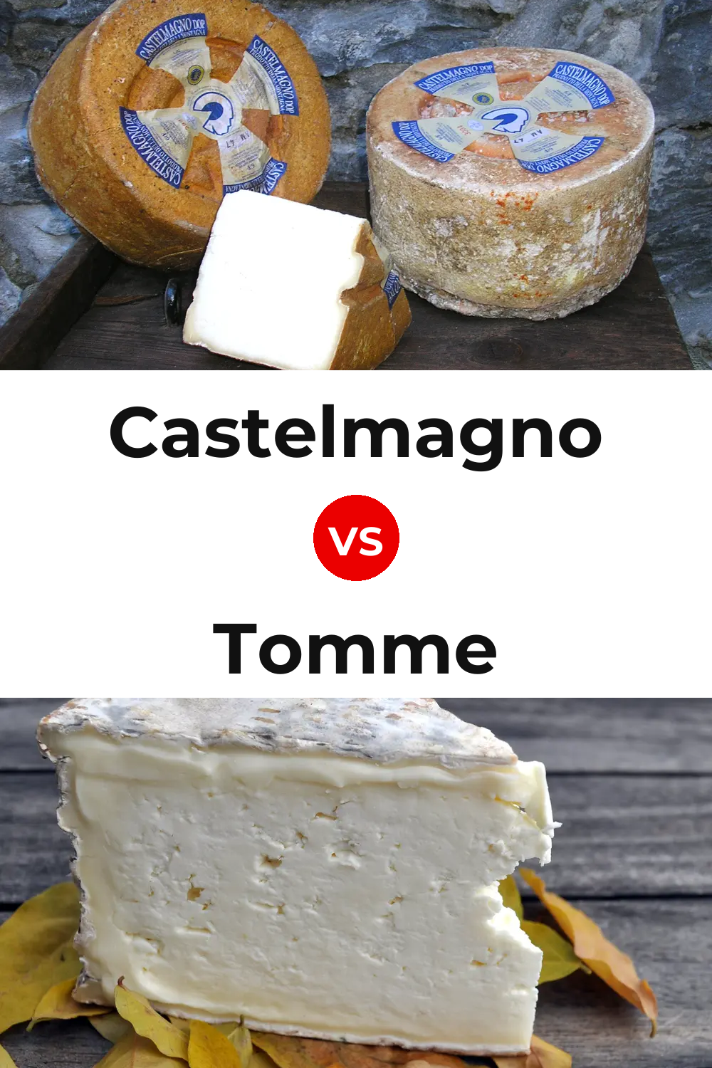 Castelmagno Cheese vs Tomme Cheese Pinterest comparison